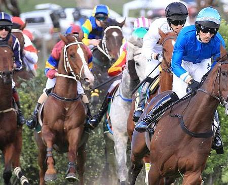 South Australian Jumps Racing at Oakbank