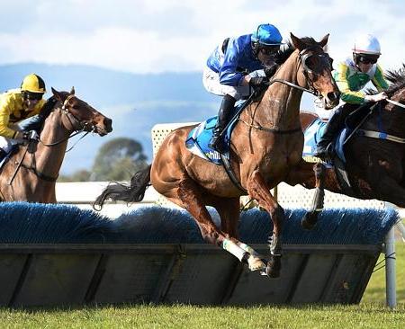 Now and Zen Wins at Morphettville 27 June 2015 | South Australian Jumps Racing