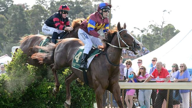 2014 Great Eastern Steeplechase at Oakbank Racing Club