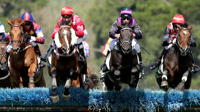 2015-oakbank-zuhayr-wins-young-members-hurdle-image-credit-tait-schmaal