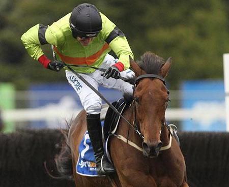 2015 Australian Grand National Steeple | South Australian Jumps Racing