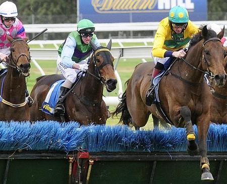 Bold Zamour wins the 2015 South Australian Grand National Hurdle