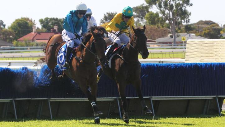 Bold Zamour Wins at Gawler Image Credit Emma Brasier