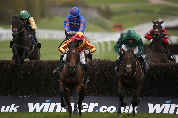 The Joys of Jumps Racing | South Australian Jumps Racing