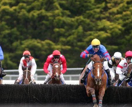 Thubiaan Wins 2015 Australian Steeple | South Australian Jumps Racing