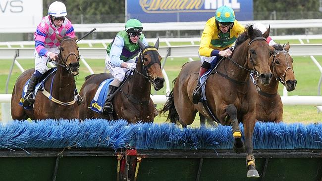 South Australian Jumps Racing | SA Grand National Hurdle | Bold Zamour