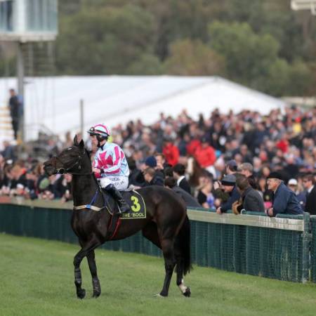 2016 Victorian Jumps Racing Program | South Australian Jumps Racing