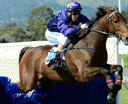 2014 Irish Steeple at Morphettville | King Triton ridden by Gavin Bedggood | South Australian Jumps Racing