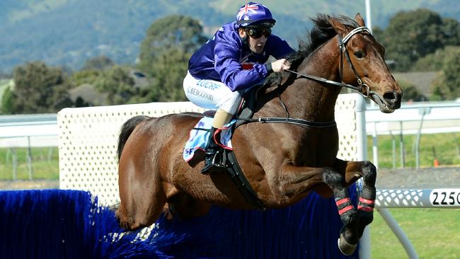2014 Irish Steeple ay Morphettville | King Triton ridden by Gavin Bedggood | South Australian Jumps Racing
