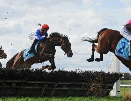 Regina Coeli | South Australian Jumps Racing