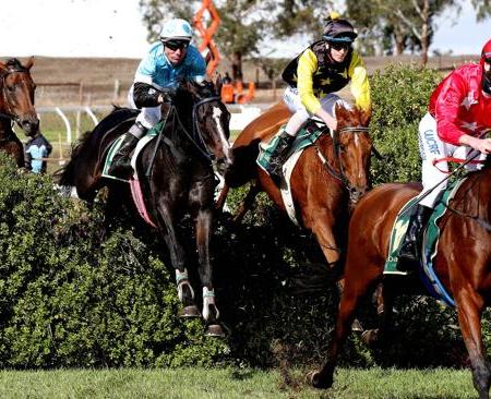 Great Eastern Steeplechase 2015 | South Australian Jumps Racing