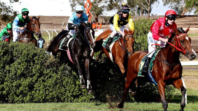 Great Eastern Steeplechase 2015 | South Australian Jumps Racing
