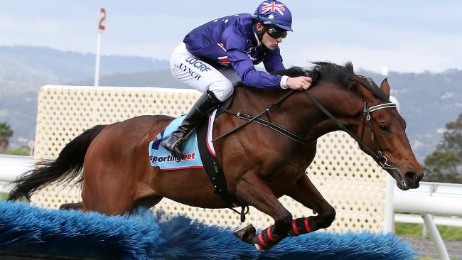 King Triton Wins Irish Hurdle at Morphettville 2014