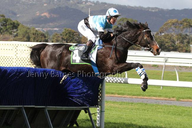 SA Grand National Steeplechase | Nishiazabu