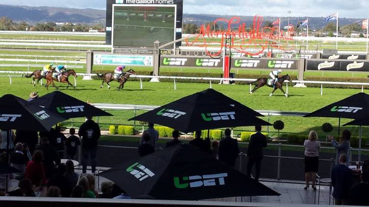 20160617-morphettville-grand-national-steeple-honey-nishiazabu-paul-hamblin-credit-sajr