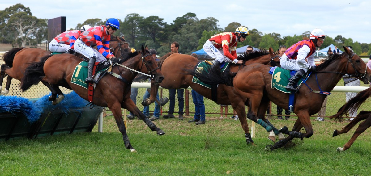 Jumps Racing to Continue in South Australia – South Australian Jumps Racing