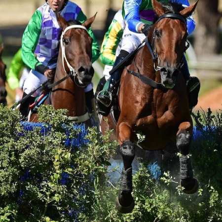 2018 Von Doussa Steeplechase at Oakbank