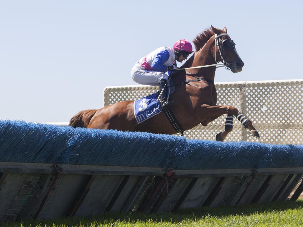 SA Jumps Race Results Gawler Wednesday 22 May 2019 South Australian