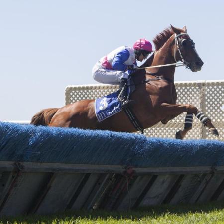 Hurdle race at Gawler won by Exalted Lightning
