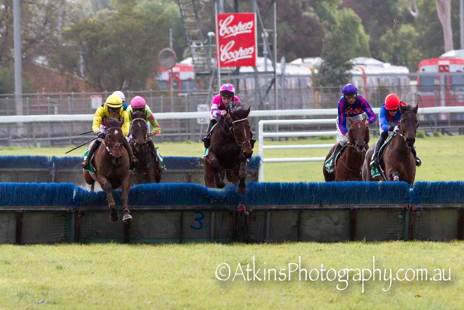 FELIX BAY, ridden by Steven Pateman, takes out the hurdle at Gawler on Saturday 13 July